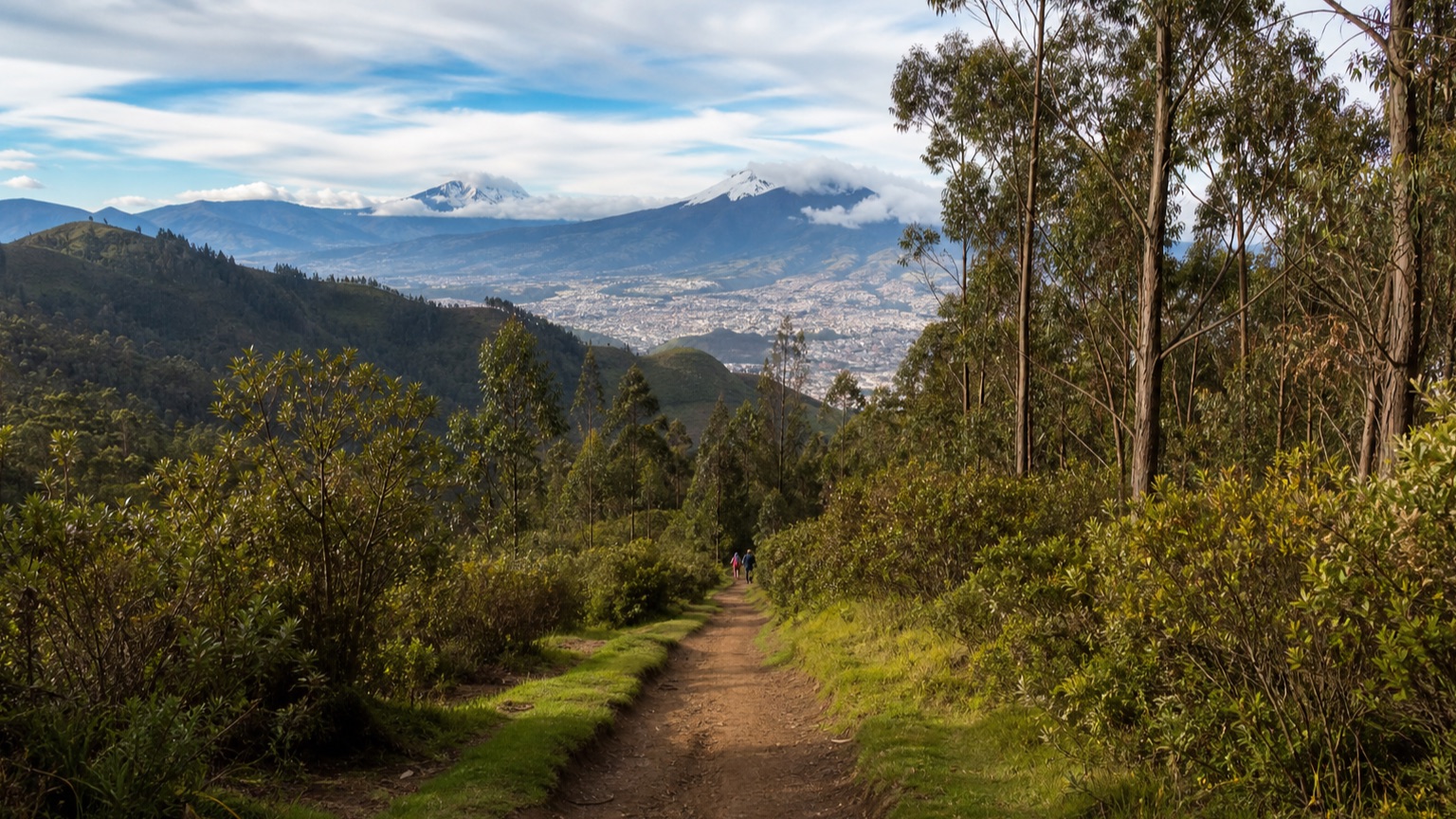 Sendero entre eucaliptos en el Parque Metropolitano Guangüiltagua con vista a Quito y los Andes